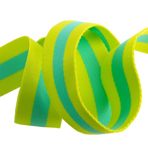 Tula Pink Lime and Bright Aqua 1.5 inch Webbing Sold By the Yard